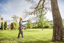 Best Leaf Removal  in Madison, NJ